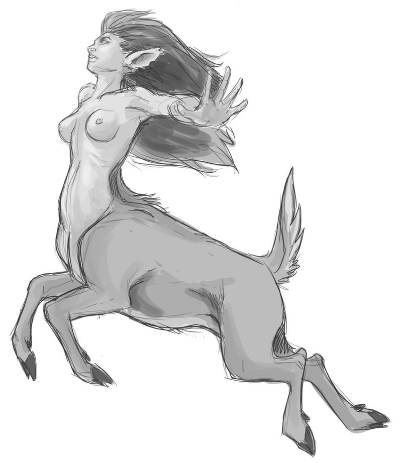Illustration for article titled Centaurs on deviantART (slightly, tastefully NSFW)